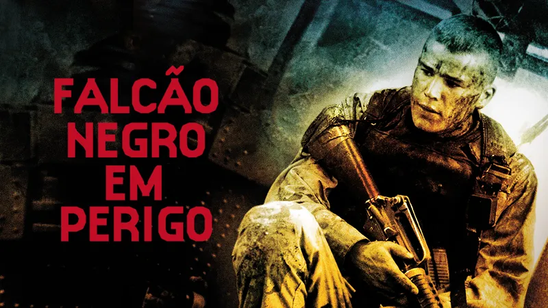 falcão negro em perigo